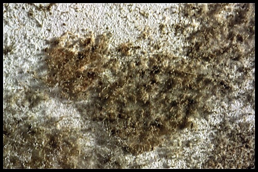 Fl&auml;che mit Schimmel